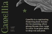CS Amoret – Art Nouveau Font, a Serif Font by Craft Supply Co. (Thumbnail 3 of 8)