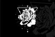 Best Vector Illustration Package, an Illustration by azhartz (Thumbnail 4 of 13)