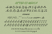 Letter of Berlin Classic Script Font, a Script Font by Myn Type (Thumbnail 13 of 14)