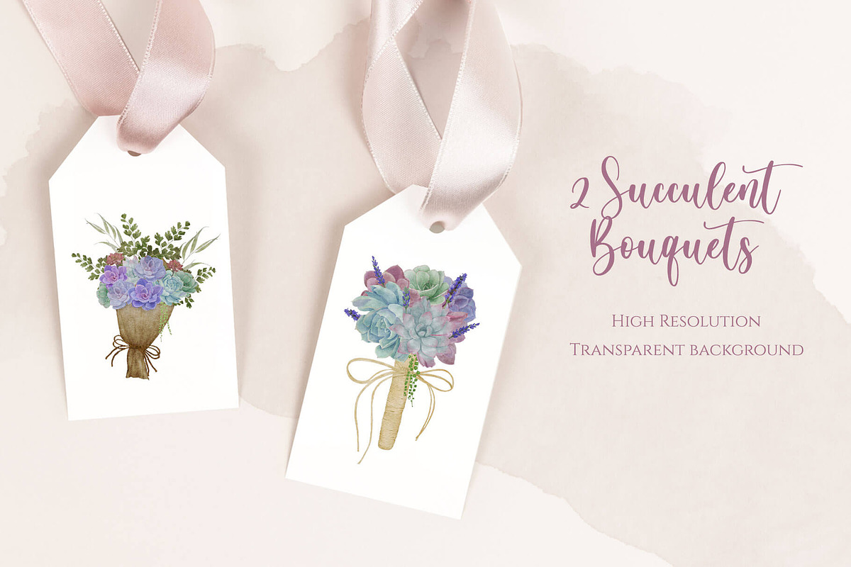 Seasonal Succulents, a Seasonal Illustration by Maggie Stilwell Design (Photo 7 of 13)