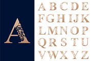 alphabets A to Z  design vector, a Branding & Logo Template by BARONSTD (Thumbnail 2 of 4)