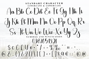 Handsome, a Handwritten Font by FreshTypeINK (Thumbnail 3 of 8)