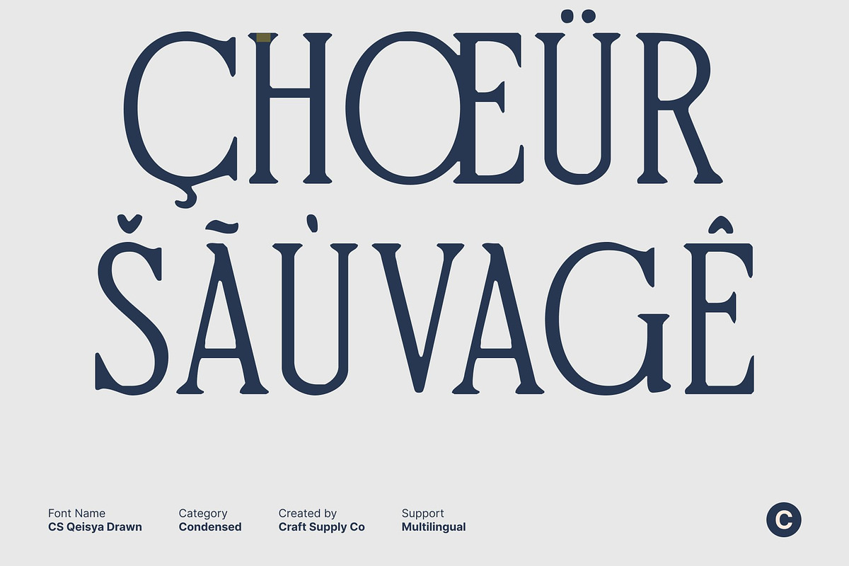 CS Qeisya Drawn, a Serif Font by Craft Supply Co. (Photo 5 of 8)