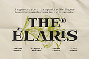 Hendry - Vintage Serif Family, a Serif Font by Novitype (Thumbnail 4 of 12)