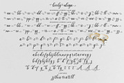 Lovely Alesya Script Font, a Script Font by Cut Story (Thumbnail 13 of 15)