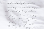 Lucianda Script, a Script Font by Nowlystudios (Thumbnail 8 of 8)