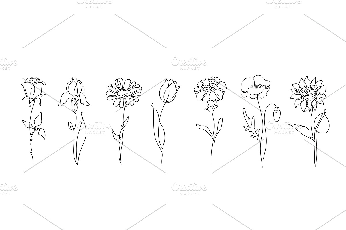 Flowers vector set illustration in, an Illustration by Zaie