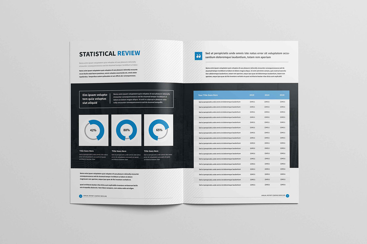 Annual Report Brochure, a Brochure Template by New Lines (Photo 9 of 12)