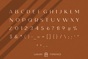 Camelia Sans - Unique Typeface, a Sans Serif Font by CCS Type (Thumbnail 13 of 16)