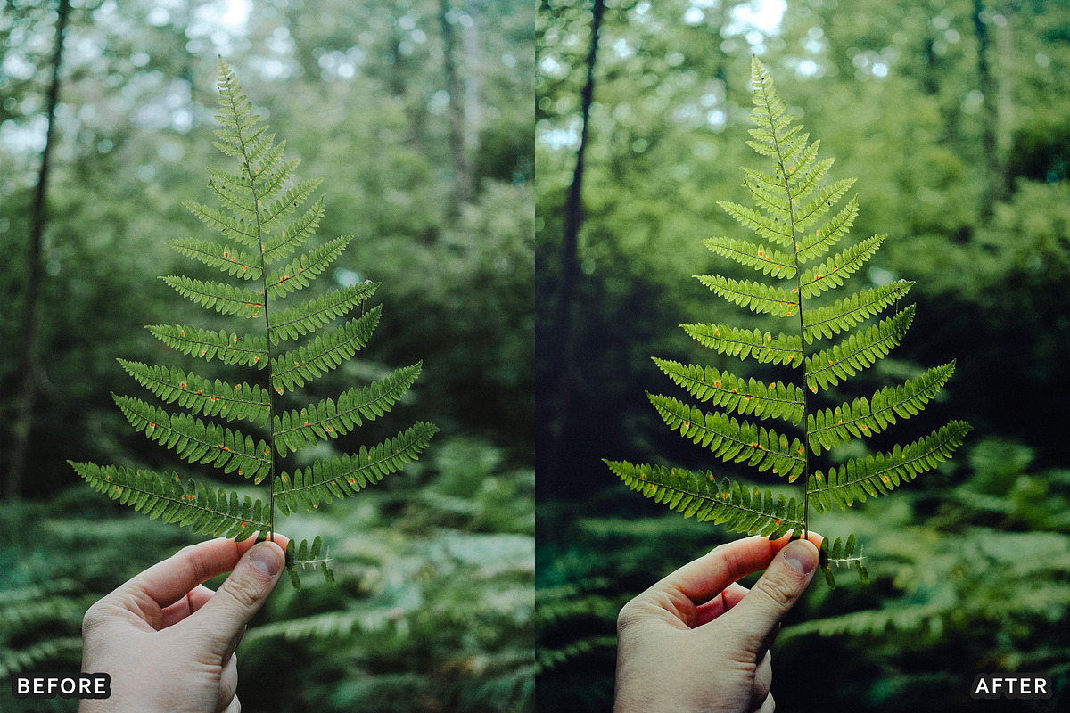 Olive Suede Lightroom Presets, a Preset Add-On by AAA Presets (Photo 11 of 16)