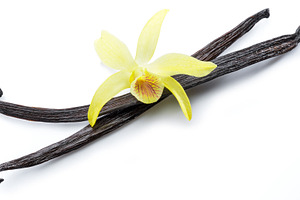 Dried vanilla pods and orchid, a Photo by Volff