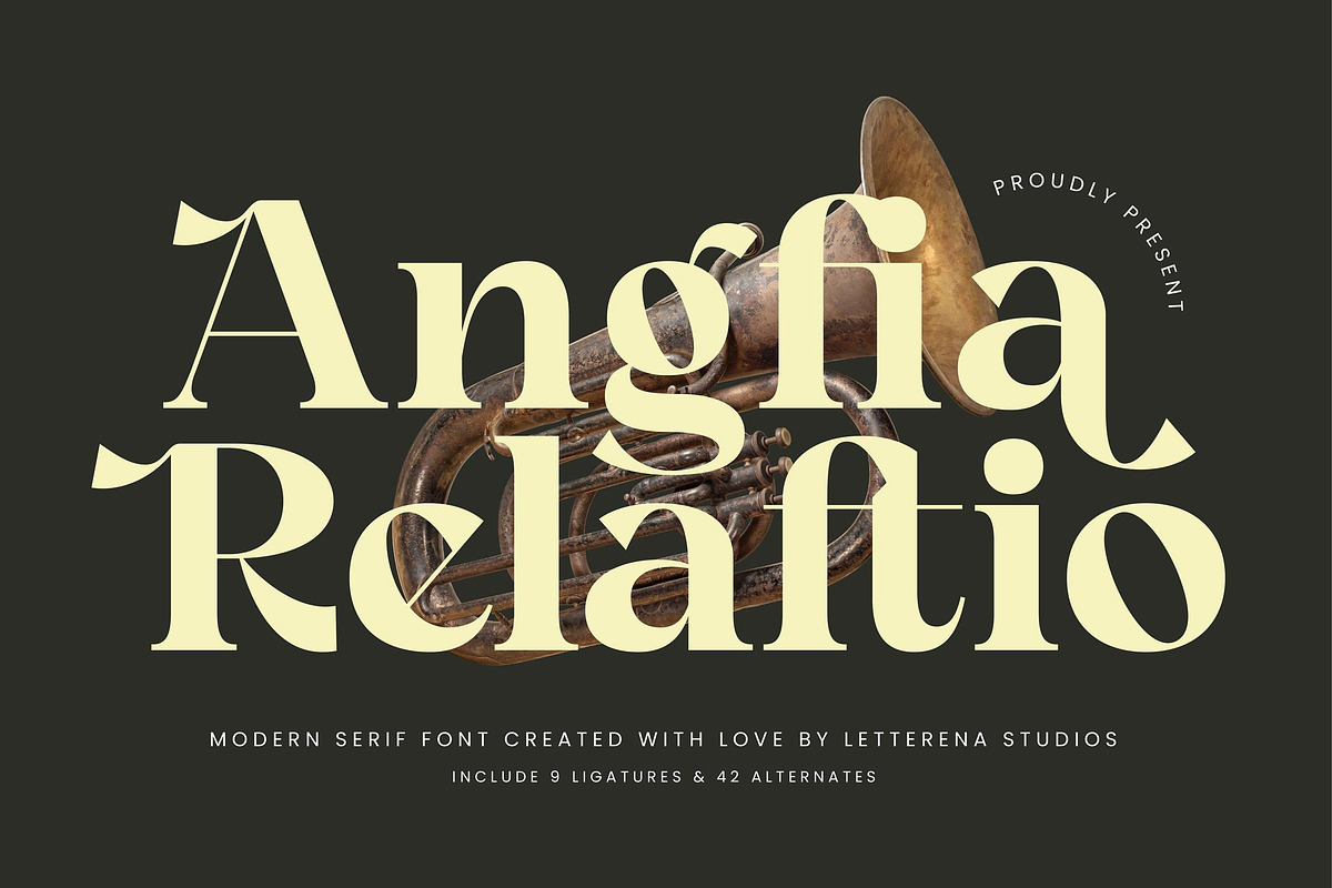 Angfia Relaftio Modern Serif Font, a Script Font by Letterena Studios (Photo 1 of 15)