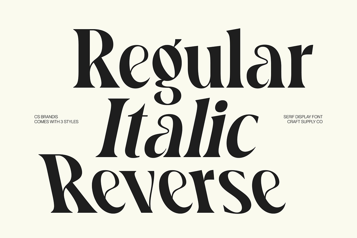 CS Brandis – Modern Serif Font, a Serif Font by Craft Supply Co. (Photo 7 of 8)
