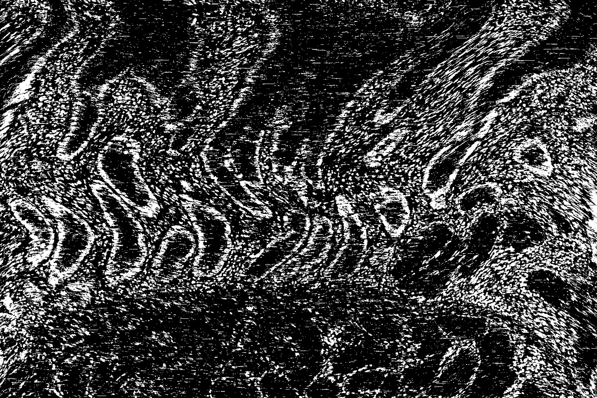Lilliputian, a Texture Graphic by Jennifer Lauren Creative (Photo 13 of 28)