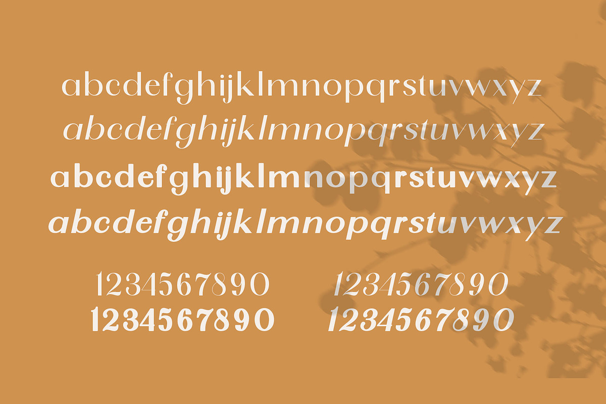 SunGold - Font Family preview 8