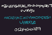 Vulture, a Handwritten Font by Headquarters (Thumbnail 2 of 3)