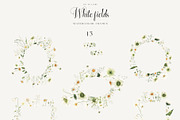 White Fields wildflowers flora, an Education Illustration by LiChu Art (Thumbnail 5 of 12)