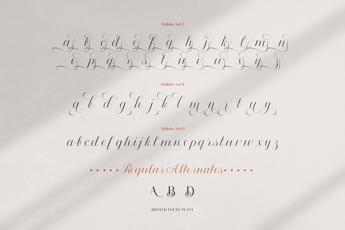 Broted Young Plant Font Duo, a Sans Serif Font by alit design (Photo 9 of 20)