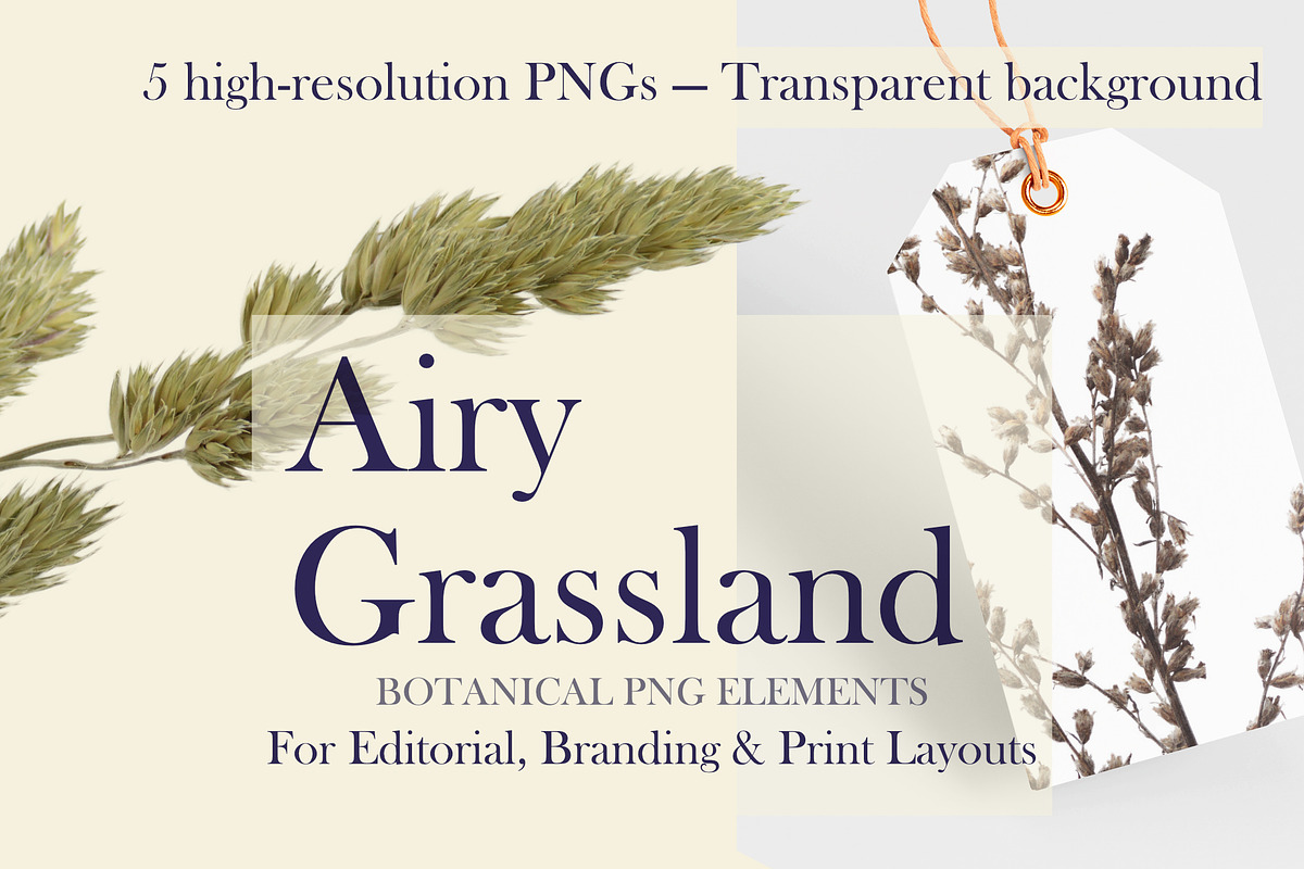 Airy Grassland — Fine Grasses & Seed, an Object Graphic by Aga Silva (Photo 1 of 5)