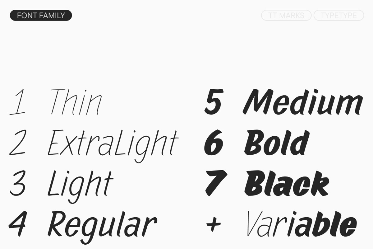 TT Marks, a Script Font by TypeType (Photo 4 of 12)