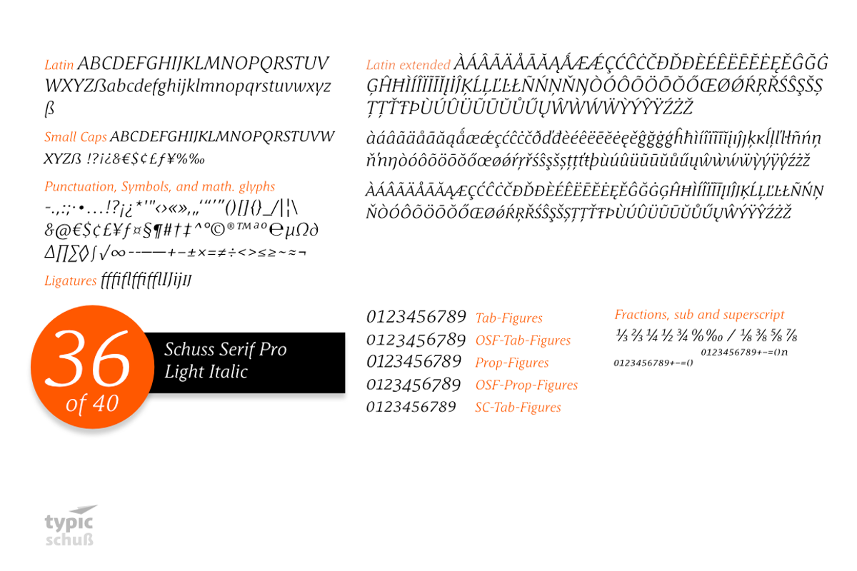 SchussSerifProLigIta No.36 (1 Font) preview 3