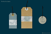 Botanical floral line art set, an Object Illustration by Tatyana_Zenartist (Thumbnail 4 of 11)