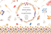Dried Herbs and Wildflowers, an Illustration by MayaNavits (Thumbnail 1 of 13)