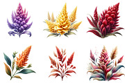 Celosia Flower Clipart, an Illustration by DreamArtGraphic (Thumbnail 2 of 5)