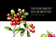 Watercolor Berry Clipart, Strawberry, a Food Illustration by BrushstrokeArtGB (Thumbnail 6 of 9)