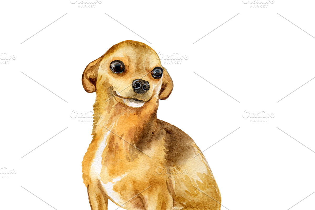 Watercolor Dogs Mega Big Bundle, an Illustration by Dneprstock (Photo 16 of 60)