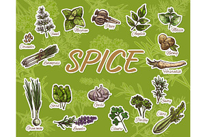 Cooking spices, herbs, seasonings, a Food Illustration by Vector Tradition