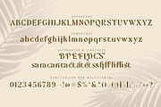 Mofista-Nostalgic Serif Typeface, a Serif Font by ToniStudio (Thumbnail 10 of 11)