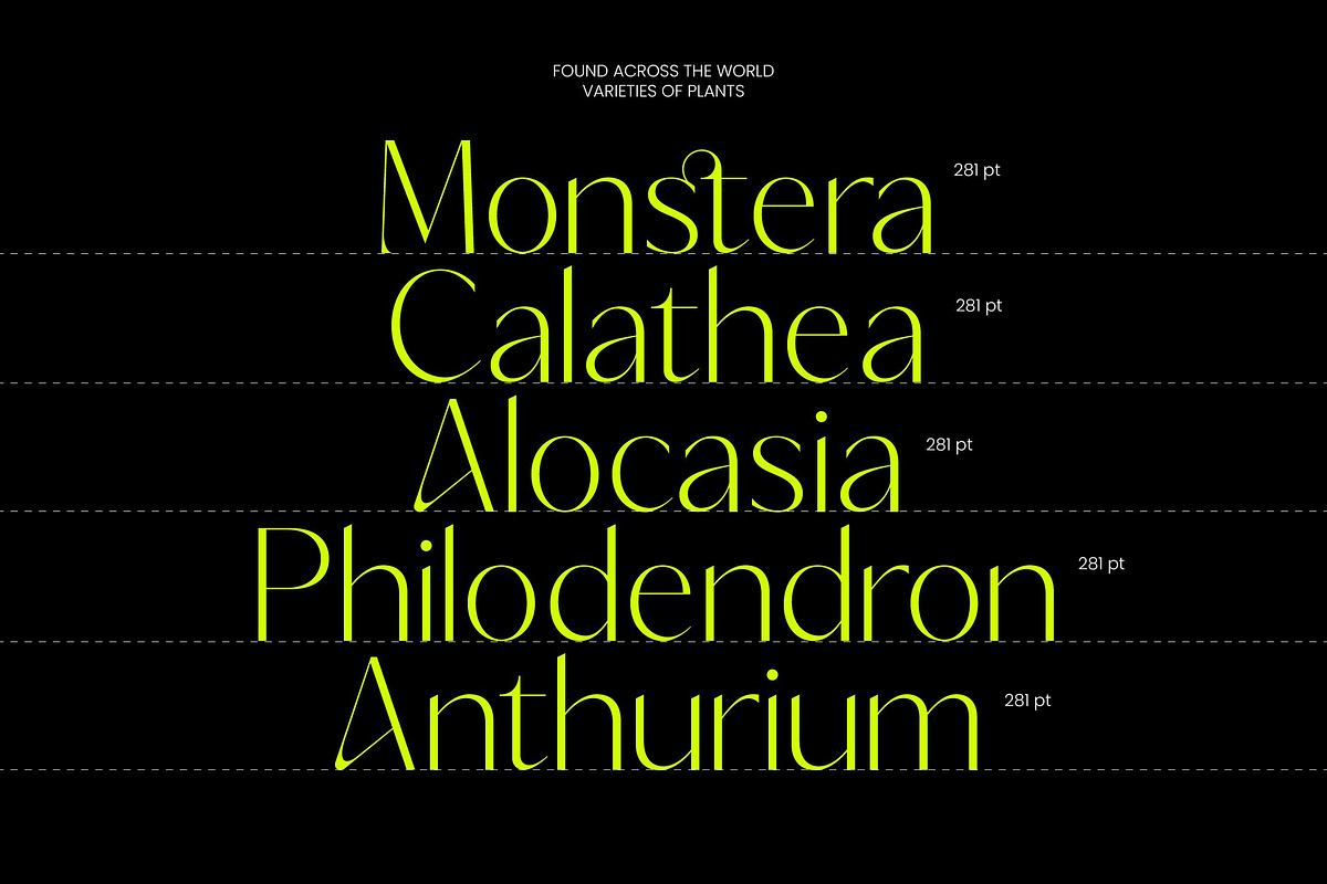 Silence Night Elegant Sans Serif, a Sans Serif Font by timelesstype.co (Photo 6 of 10)