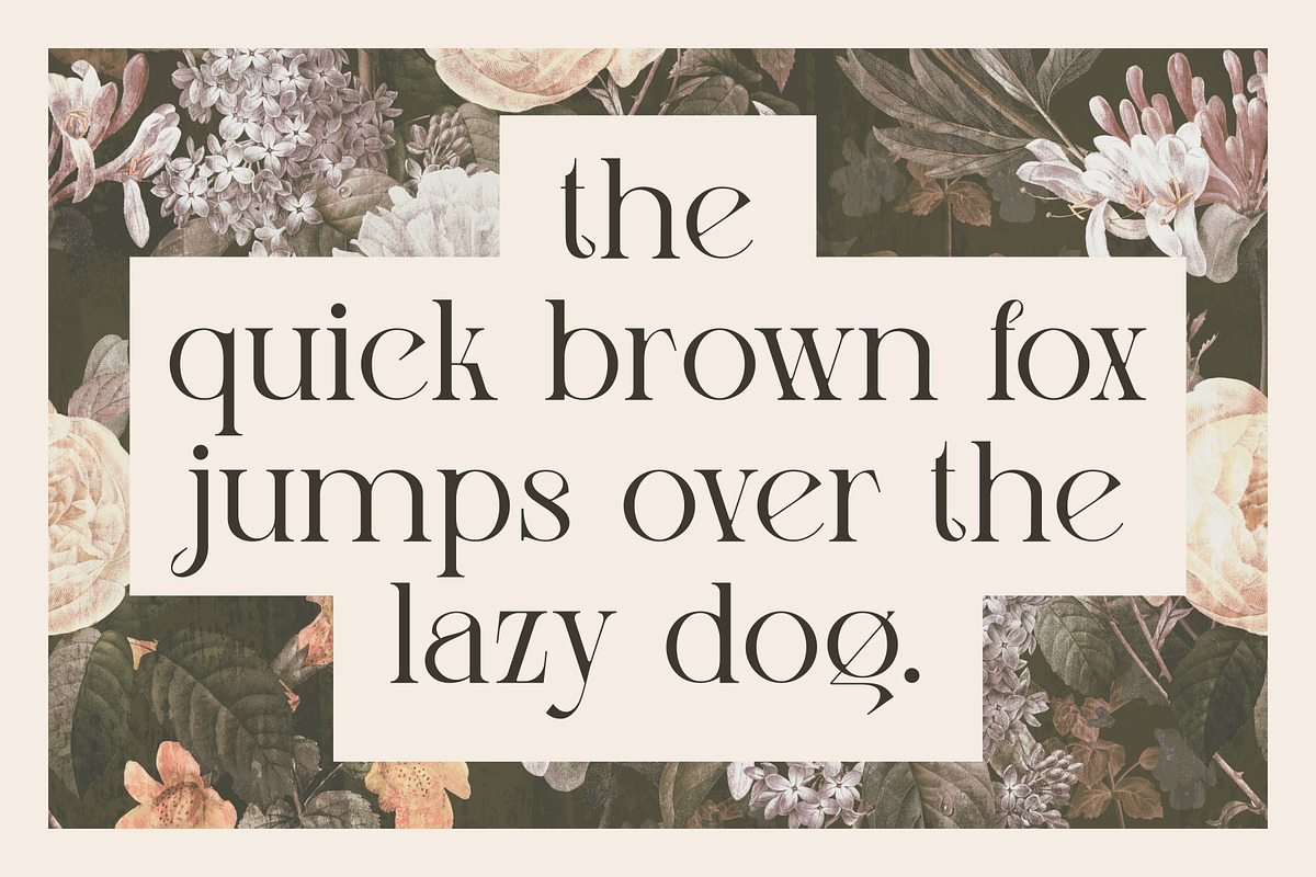 Lissa Stylish Ligature Serif Font, a Serif Font by Eotype Studio (Photo 3 of 9)