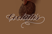 Brandy, a Script Font by artisans (Thumbnail 2 of 7)