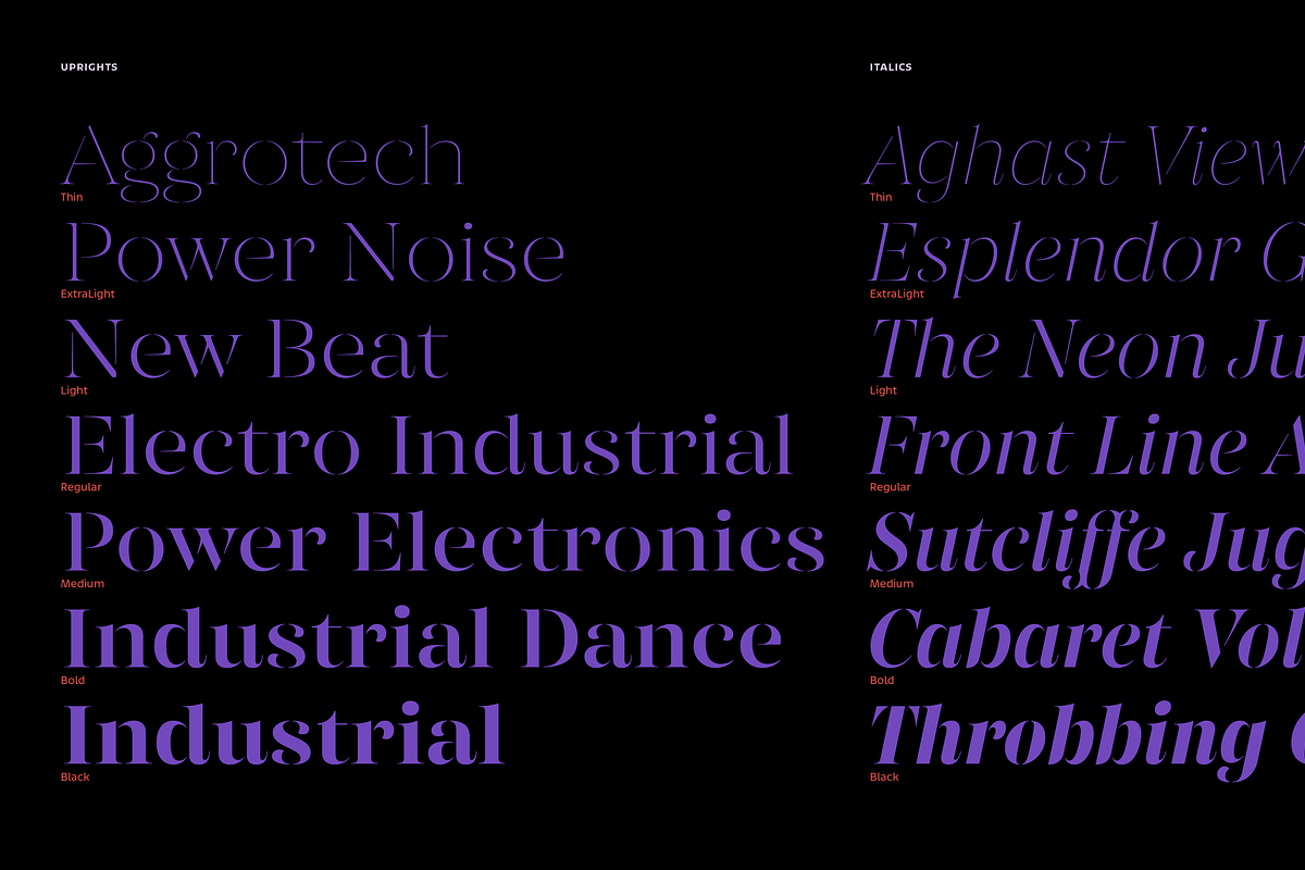 Gabriela Stencil, a Serif Font by Lechuga Type (Photo 7 of 15)