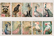 REGENCY ROYAL MANAGERIE, an Animal Illustration by Daring Digies (Thumbnail 3 of 7)