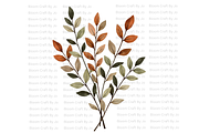 Dried Eucalyptus Branches, a Decorative Illustration by Bloom Craft Creations (Thumbnail 8 of 10)