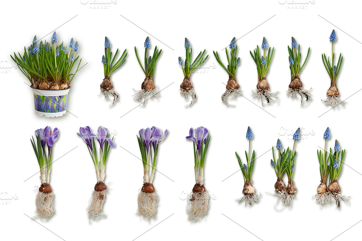 Scene Creator Colorful Spring&Easter, a Product Mockup by Anna_Zubkova (Photo 4 of 7)