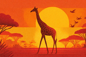 Giraffe walks in sunset landscape, a Photo by Beautiful things