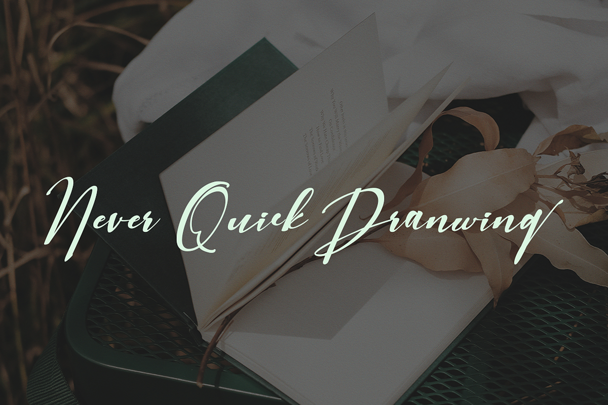 Charlotte Script, a Script Font by PollemSt (Photo 5 of 8)