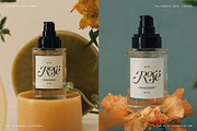 Netsera Calligraphic Serif Typeface, a Serif Font by SilverStag Type Foundry (Thumbnail 5 of 30)