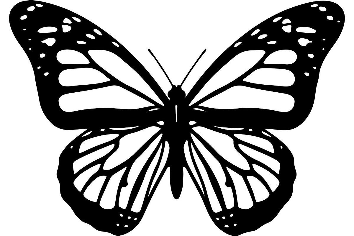 Butterfly Silhouette Bundle, an Object Graphic by Designer_Momina (Photo 18 of 20)