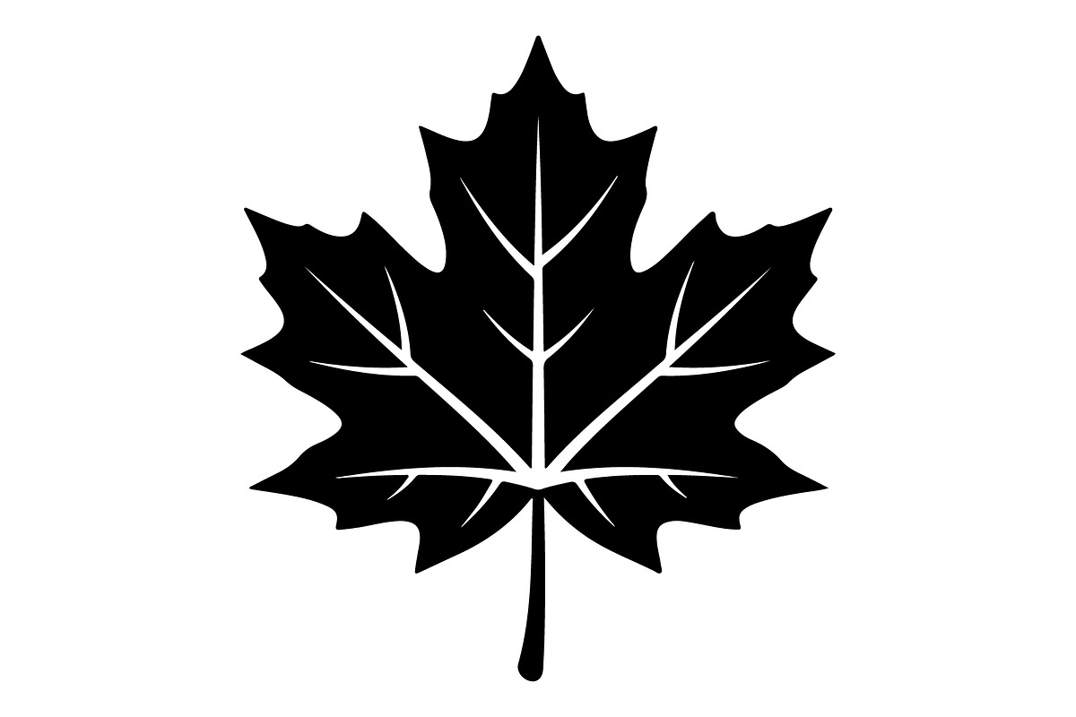 Maple Leaf Oak Leaf Autumn, an Object Graphic by Gfx_Store (Photo 8 of 15)