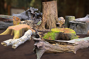 Forest Elements, an Environmental 3D Model by Beatheart Creative Studio (Thumbnail 4 of 25)