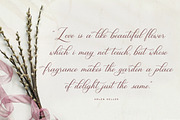 Gresilya Calligraphy Script Font, a Handwritten Font by Heinzel Std (Thumbnail 7 of 10)
