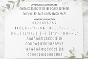 Special Typeface | Script Font, a Script Font by Scratchones (Thumbnail 7 of 8)