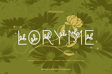 Loryme | Decorative | Illustration