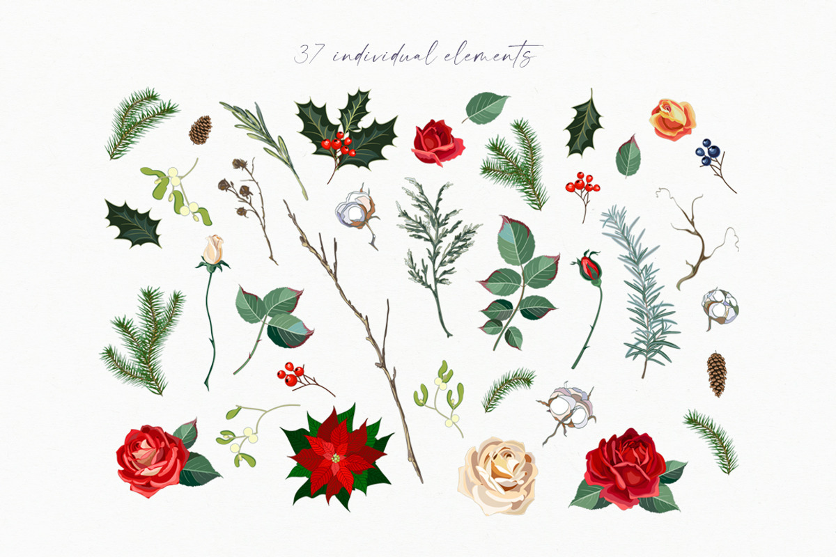 Winter flowers - Christmas clipart, a Decorative Illustration by Vasmila (Photo 6 of 9)