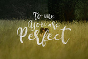 Botanica Regular & OpentypeSVG, a Serif Font by maghrib (Thumbnail 6 of 7)